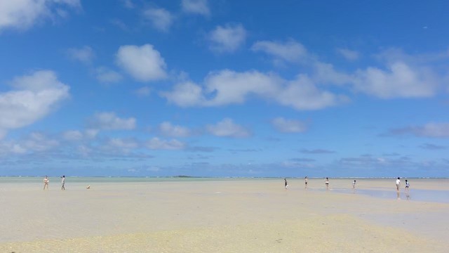 カネオヘ湾のサンドバー