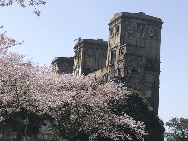 旧一等馬見所と桜