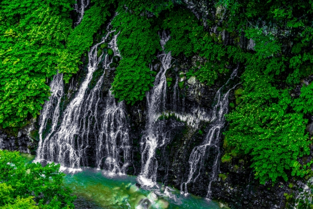 北海道美瑛町の白ひげの滝