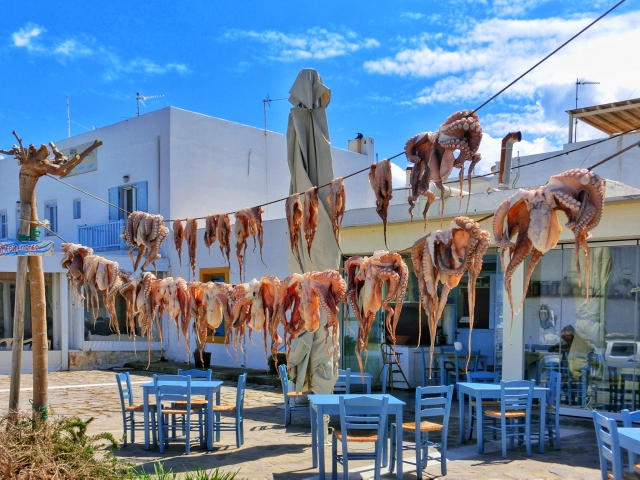 ギリシャナクソス島のタコ