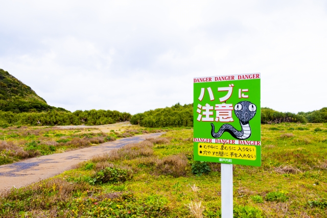 奄美大島ハブ注意の看板