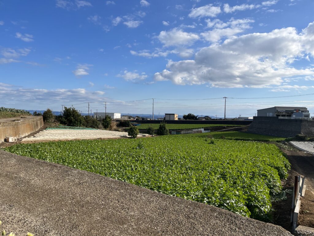 三浦半島ののどかな畑