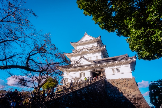 晴れの日の小田原城