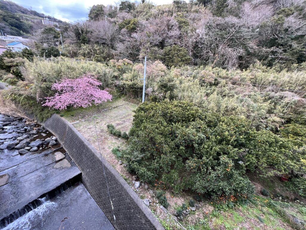 伊豆稲取駅からの景色