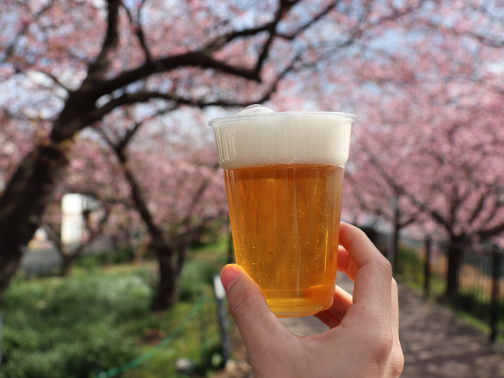 河津桜まつりで飲んだビール