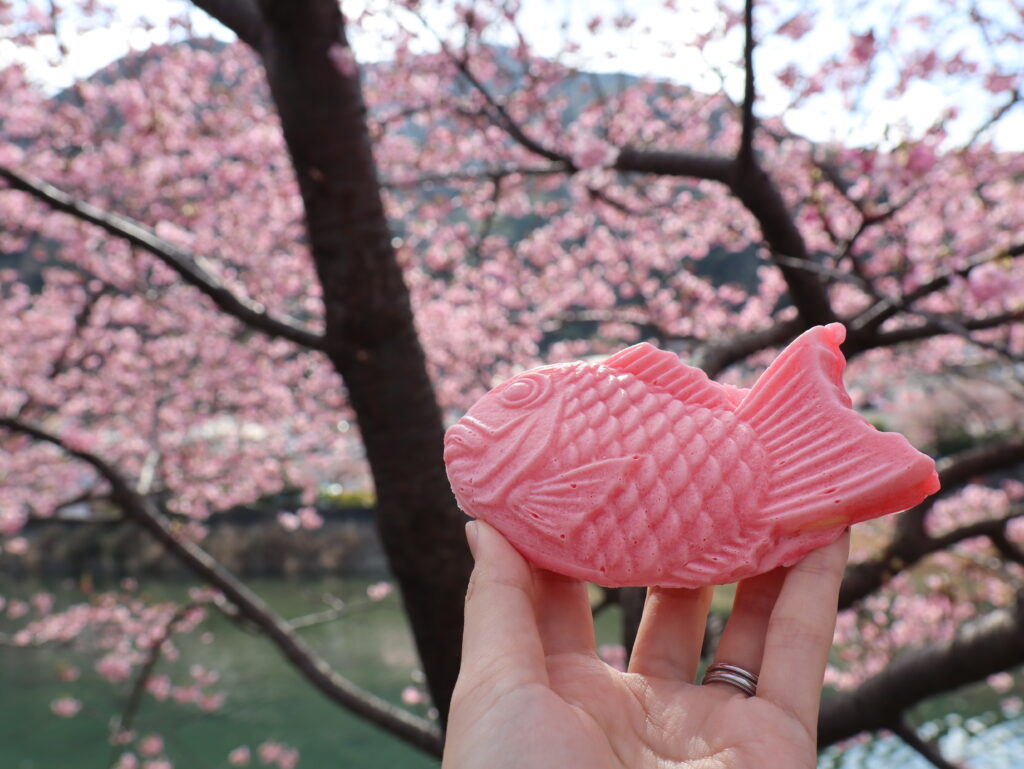 河津桜まつりで食べた桜色のたい焼き
