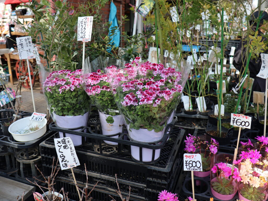 神代植物公園内にあるお花屋さん