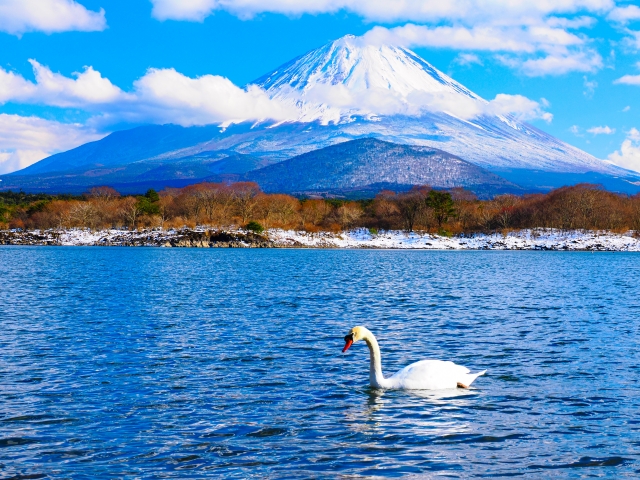 都内から】電車で行ける日帰り旅スポット36選！週末の遠出におすすめ