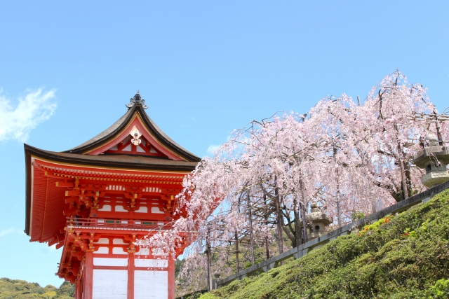 お花見】京都・奈良の桜の名所を巡る2泊3日観光モデルコース | arinko trip