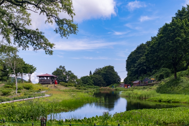 湯沢高原パノラマパーク