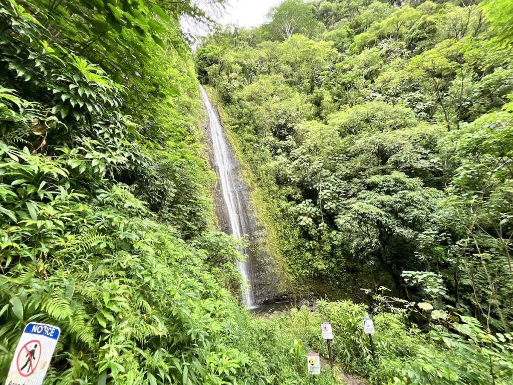 ハワイ、オアフ島のマノア滝