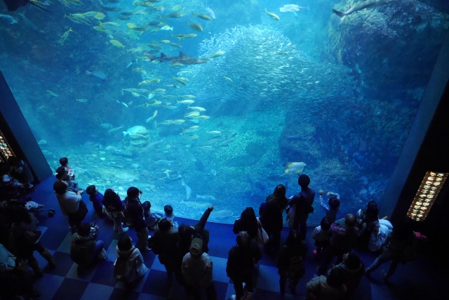 新江ノ島水族館